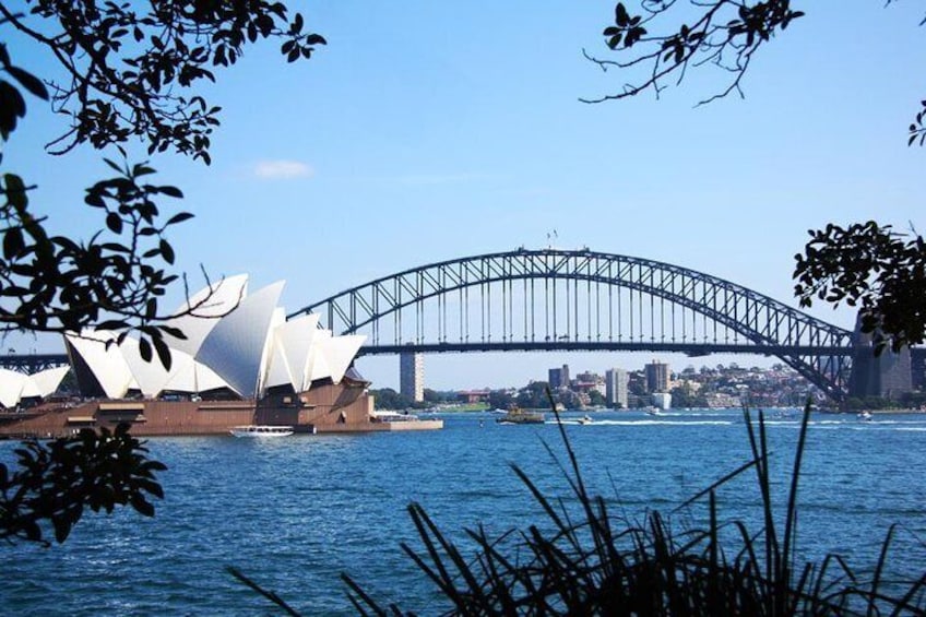 SydneyOpera House and Bridge