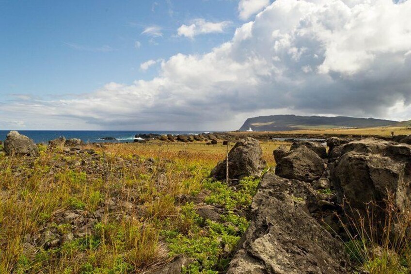 Rare angle of the ruins of the monumental ahu in the Vaihu district as seen in RPS' Moai Rise and Fall archaeological field trip