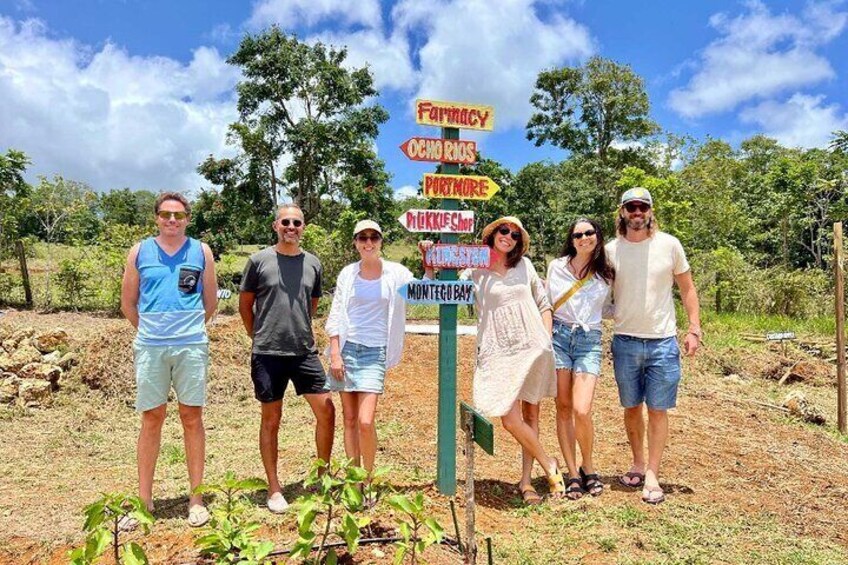 Jamaican Cannabis Farm Tour + Lunch from Ocho Rios