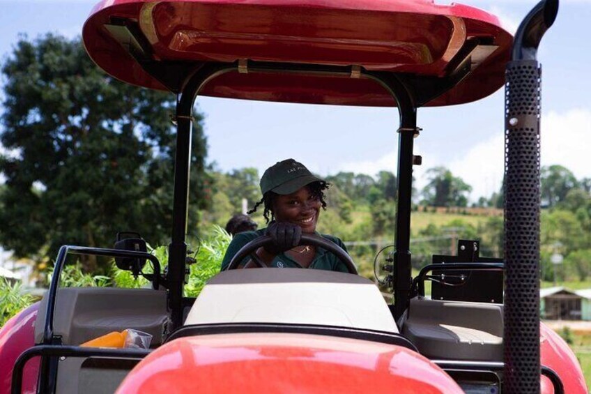 Jamaican Cannabis Farm Tour + Lunch from Ocho Rios