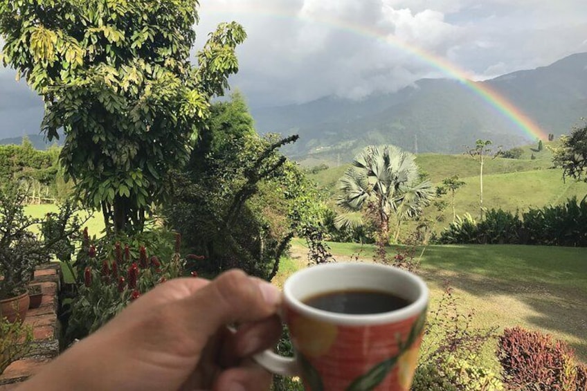 coffee tours near medellin