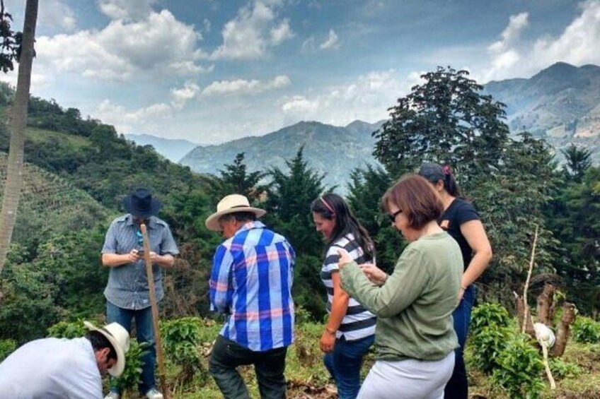 Half-Day Coffee Tour at Family Farm Close to Medellín