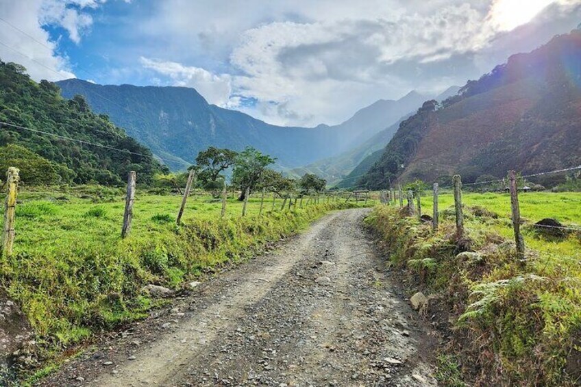 Off-roads