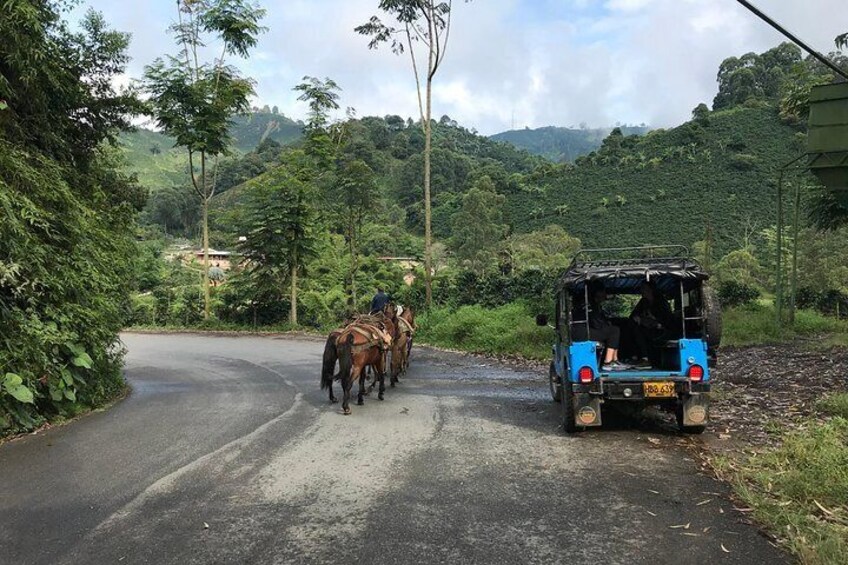 Visit Jardin town, Tapartó Waterfalls and Coffee Farm.