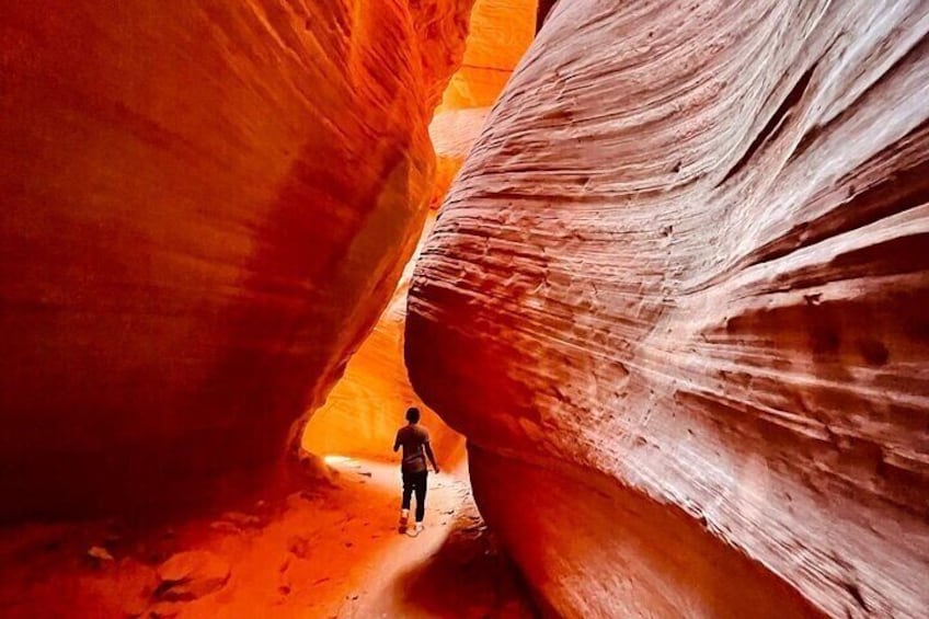 Sandboarding & Slot Canyon UTV Adventure