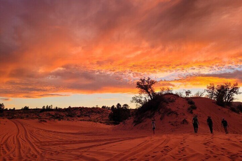 Sandboarding & Slot Canyon UTV Adventure (Private)