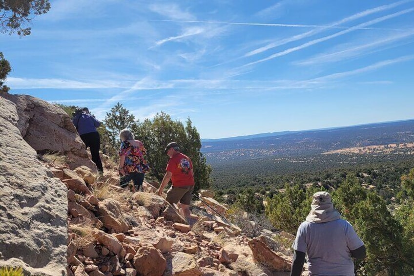 Slot Canyon & Petroglyphs UTV Adventure (Private)