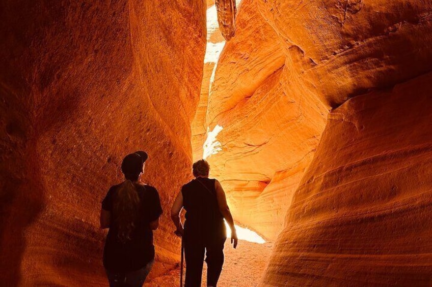 Slot Canyon & Petroglyphs UTV Adventure (Private)