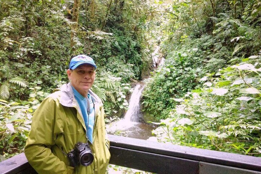 Monteverde Birdwatching Guided Tour