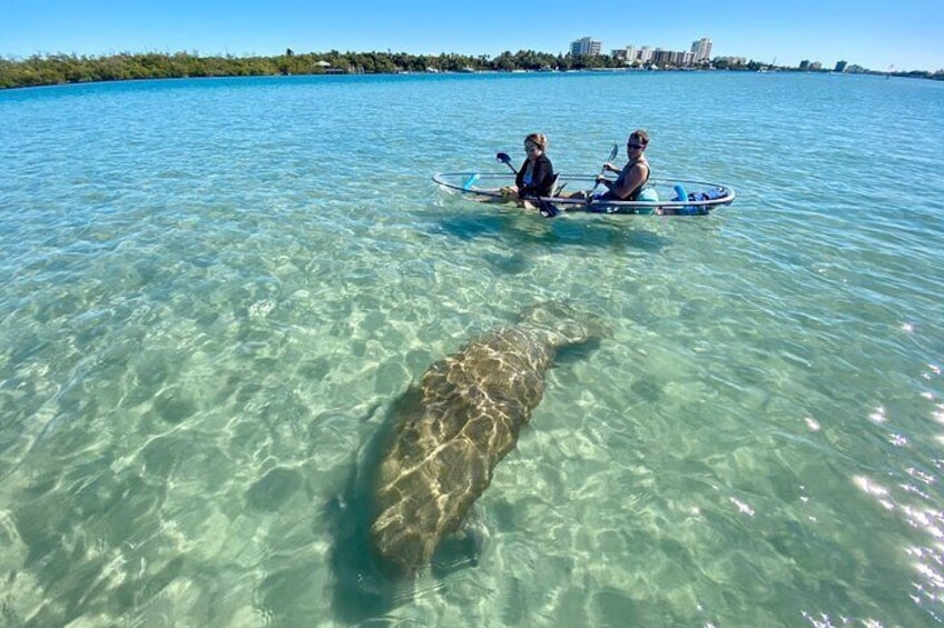 Clear Kayak Tour in Jupiter