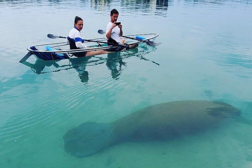 Clear Kayak Tour in Jupiter