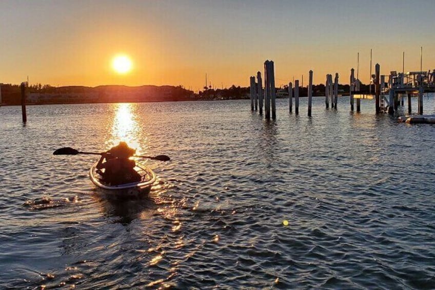 kayak tours jupiter