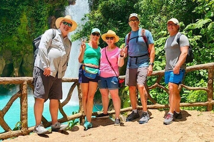 Excursión privada de un día a la cascada Azul, santuario de perezosos y caf...