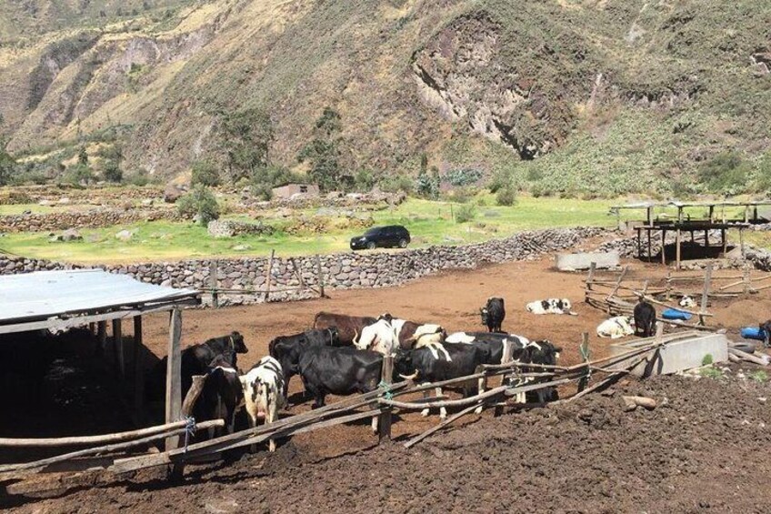 Lima Mountains - Cataract of Matucana