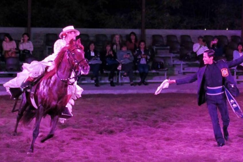 Dinner Show and Exhibition of Peruvian Horse including Pick up & drop off