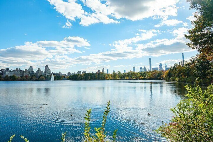 Central Park Pedicab Guided Tours