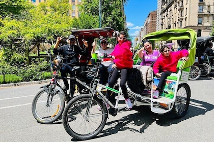 Central Park Tour guiado privado de 2 horas en bicitaxi