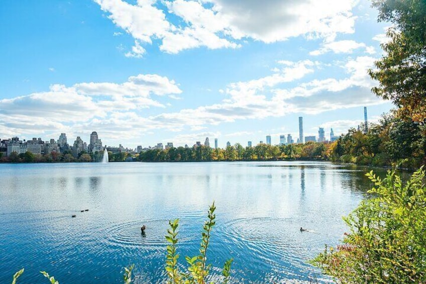 The Reservoir