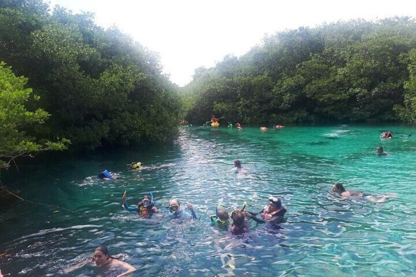 Private Cenotes tour