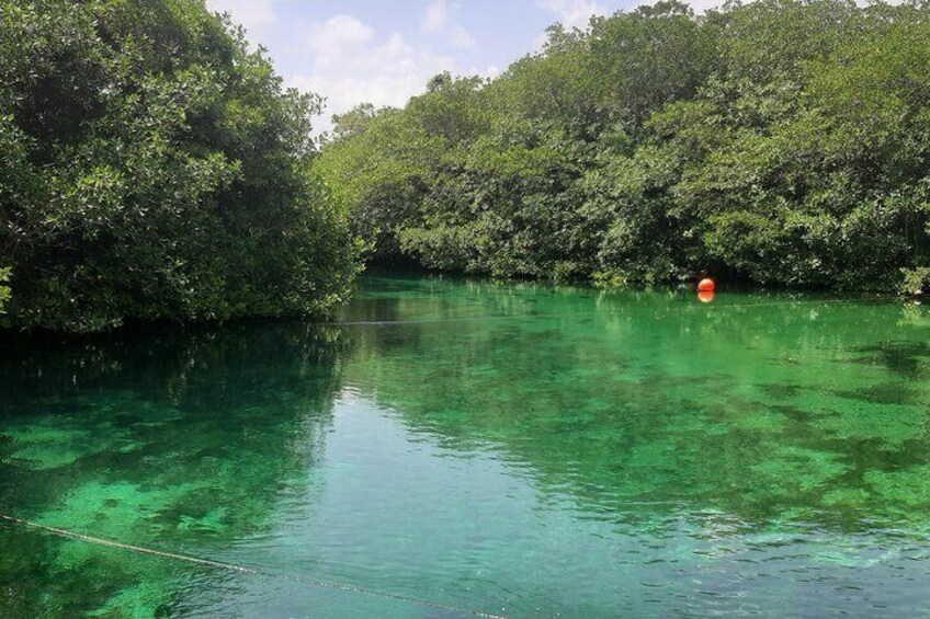 Private Cenotes tour