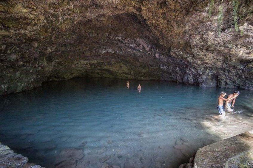 Show item 2 of 16. Inside the fern grotto (60°F or 15°C)