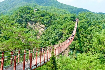 Demilitarized Zone, DMZ Tour Optional Suspension Bridge