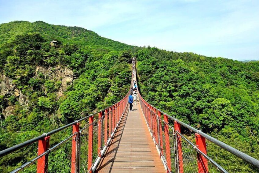 DMZ Tour: 3rd Tunnel from Seoul (Option: Red Suspension bridge)