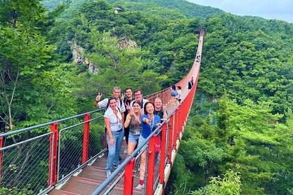 都羅展望台を含むソウルからの非武装地帯（DMZ��）ツアー