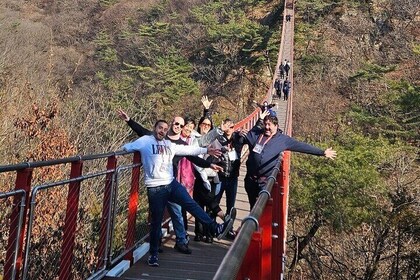 DMZ Tour: 3rd Tunnel from Seoul (Option: Red suspension bridge)