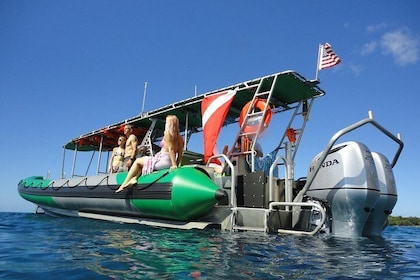 Schnorchelerlebnis in West Maui mit dem Boot von Ka'anapali