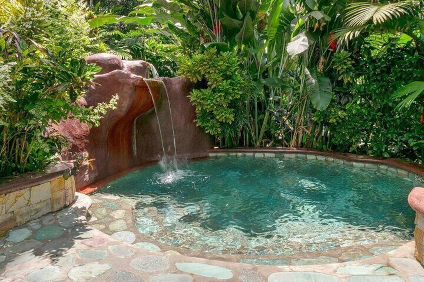 Baldi Hot springs Resort - one meal