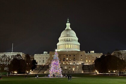 Private Night-Time Tour of Washington DC with a Chauffeur