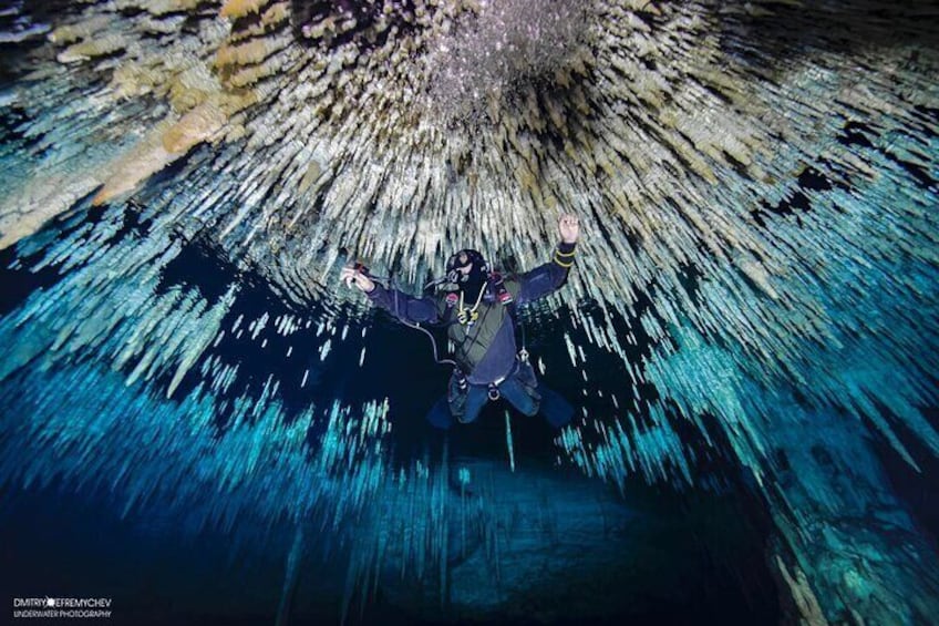 Cenote diving Dream Gate 