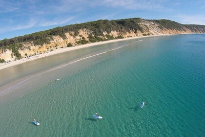 From Noosa: Stand Up Paddle Wildlife & Beach 4X4 Adventure