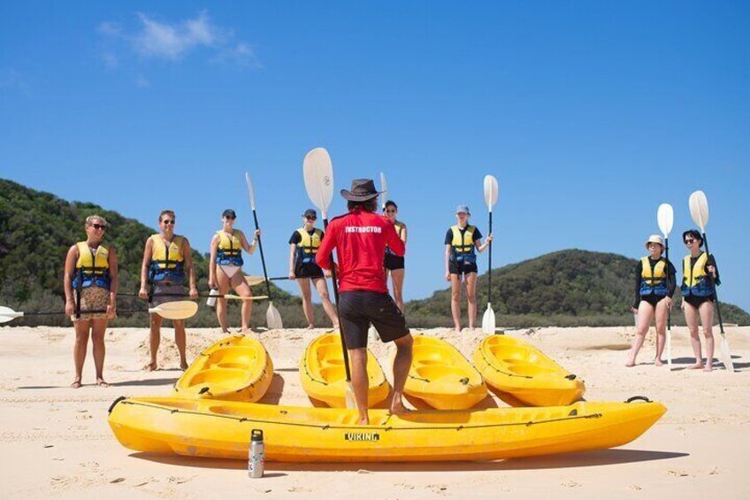 Private Double Island Wildlife Tour - Noosa