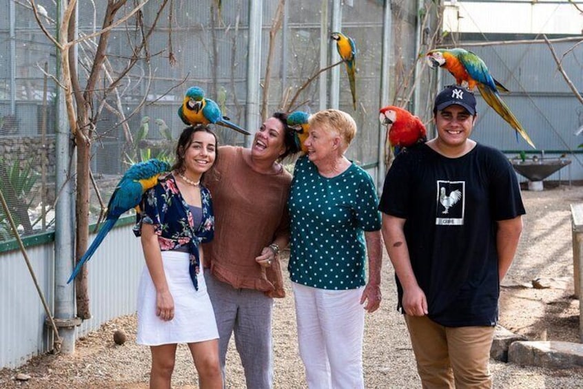 Get up close and personal with over 700 native & exotic birds in one of our 4 aviary's