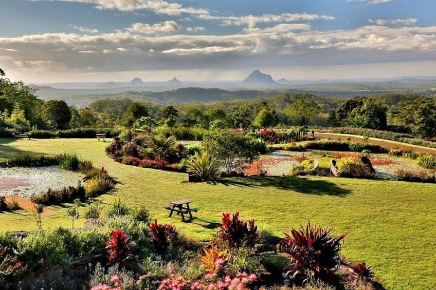 Magnificent views of the Glass House Mountains at every vantage point