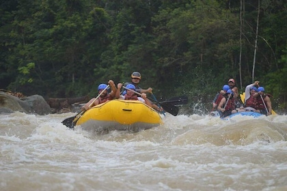 White Water Rafting, Half Day Naranjo River