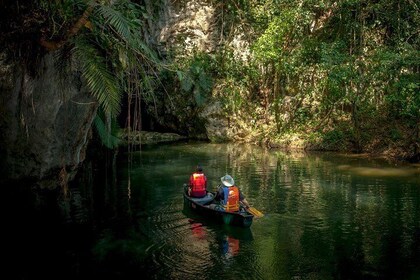 Barton Creek Cave & Butterfly Farm