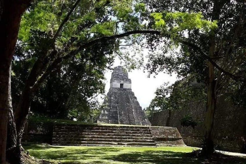 Historical Tikal Tour with Pick-up