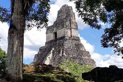 Historical Tikal Tour with Pick-up