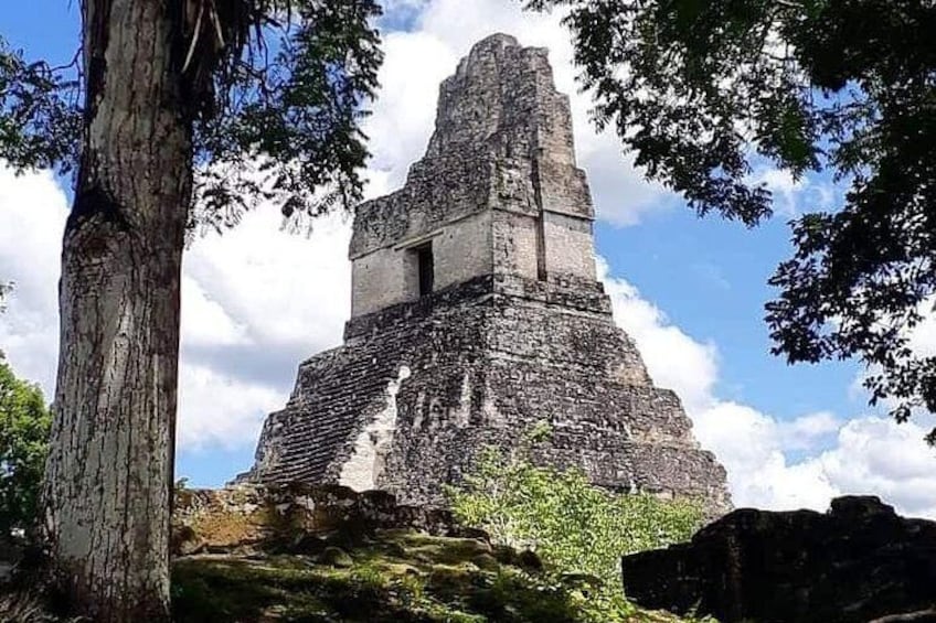 Historical Tikal Tour with Pick-up