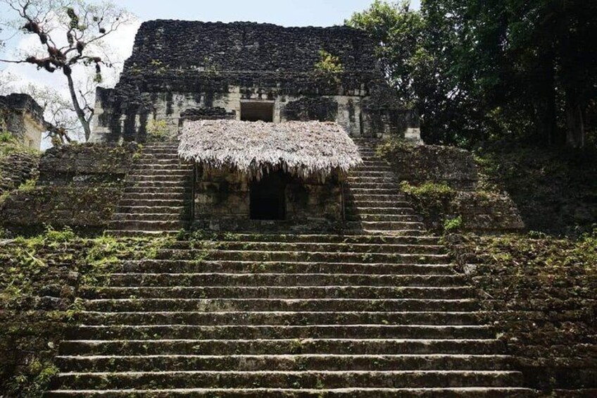 Historical Tikal Tour with Pick-up