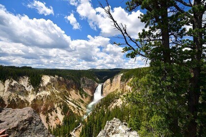 VIP Private Yellowstone Tour: Iconic Sites, Wildlife, Hiking, & Lunch Inclu...