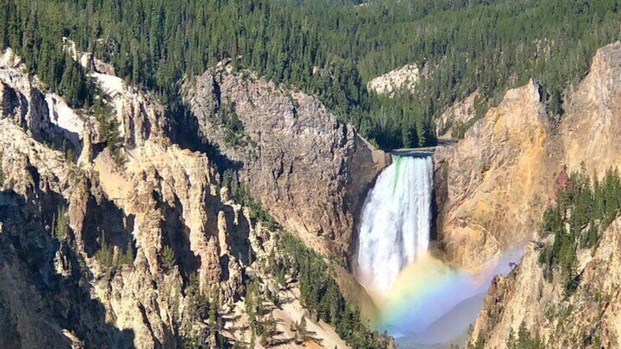 Private Yellowstone Tour: ICONIC Sites, Wildlife, Family Friendly Hikes + lunch