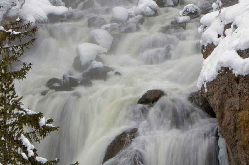 Wonders of Yellowstone Private Tour includes Lunch 