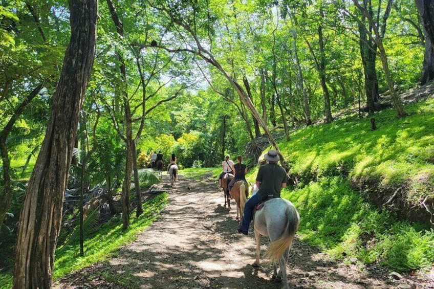 JUNGLE AND BEACH TOUR HORSEBACK RIDING - 2h 1/2