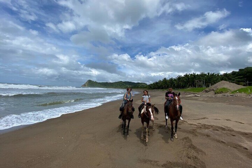 JUNGLE AND BEACH TOUR HORSEBACK RIDING - 2h 1/2