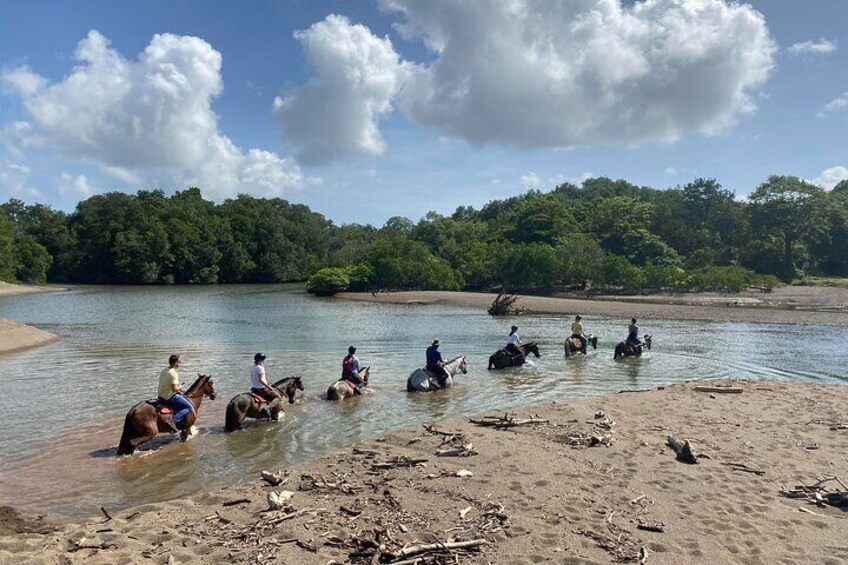 JUNGLE AND BEACH TOUR HORSEBACK RIDING - 2h 1/2
