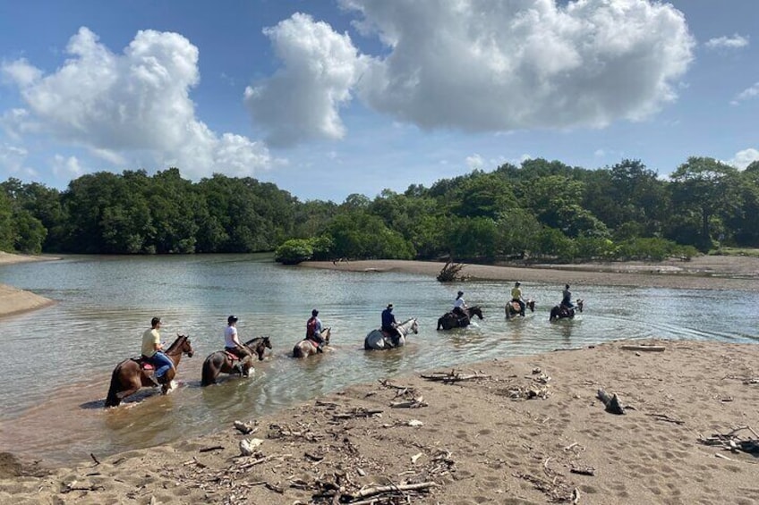 JUNGLE AND BEACH TOUR HORSEBACK RIDING - 2h 1/2